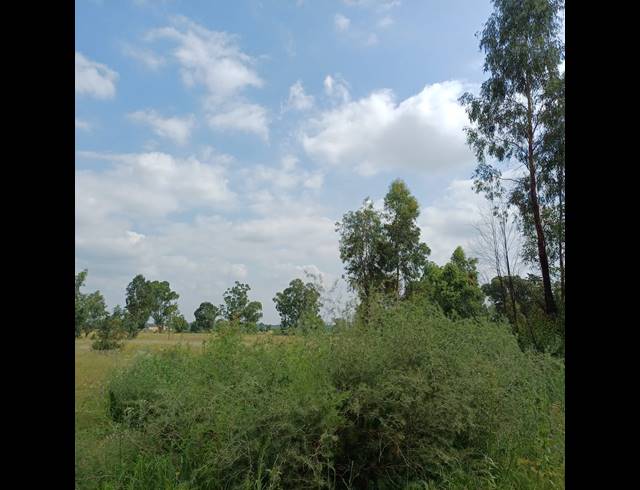 87,023M² VACANT LAND FOR SALE IN OPHIR AH